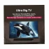 LG UA84 Television Best Price