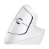 Logitech Ergo Series Lift Mouse in BD
