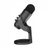 Meetion MT-MC20 Wired Black Gaming Microphone