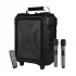 Microlab TL20 Speaker