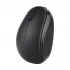 Micropack BT-751C Mouse Price in Bangladesh