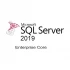 Microsoft  Operating System and DB