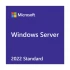 Microsoft  Operating System and DB