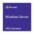 Microsoft  Operating System and DB