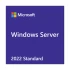 Microsoft  Operating System and DB