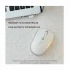 MOFII M5DM Mouse Price in BD