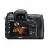 Nikon D7200 DSLR Camera in BD
