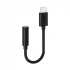 Oraimo OAA-310 Type-C Converter
