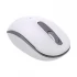 Orico V2C Mouse Price in Bangladesh