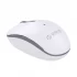 Orico V2C Mouse in BD