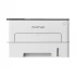 Pantum P3010D Laser Printer