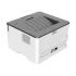 Pantum P3010D Single Function Mono Laser Printer