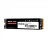 Patriot VP4300 Internal SSD in BD