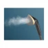 Philips 3000 Series STE3170 2000W Black Handheld Garment Steamer with Tilting StyleBoard #STE3170/80
