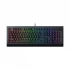 Razer Cynosa V2 Keyboard