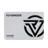 Revenger R400 120GB Internal SSD
