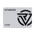 Revenger R400 120GB Internal SSD