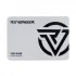 Revenger R400 Internal SSD