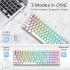 Royal Kludge RK 100 Keyboard Price in Bangladesh