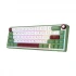 Royal Kludge RK R65 Wired RGB Hot Swap (Chartreuse Switch) Greensand Mechanical Gaming Keyboard