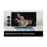 Samsung HW-B550 Home Theater Systems specifications
