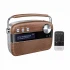 Saregama Carvaan Hindi Music Player