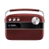 Saregama Carvaan Malayalam Music Player