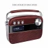 Saregama Carvaan Malayalam Music Player Price in Bangladesh