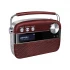 Saregama Carvaan Telugu Music Player