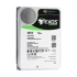 Seagate Exos X22 Internal HDD