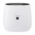 Sharp FP-J30E-B Air Conditioner