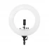 Simpex 18 Inch Ring Light DSLR Camera Accessories