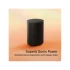 Sonos Era 100 Speaker features