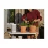 Sonos Move Lunar White