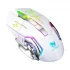 T-wolf Q13B Mouse