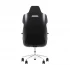 Thermaltake ARGENT E700 Storm Black Gaming Chair #GGC-ARG-BBLFDL-01