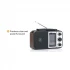 Toshiba TY-HRU30 USB Multi-Band Radio