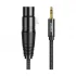 Ugreen AV182 3.5mm (Three-Pole) Male to XLR Female Cable / Converter / HUB