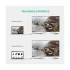 Ugreen DP103 DisplayPort Male to DVI Male Cable / Converter / HUB