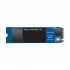 Western Digital Blue SN550 Internal SSD