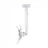 K2 Zeno PDS08-65 Ceiling Mount kit Price in Bangladesh